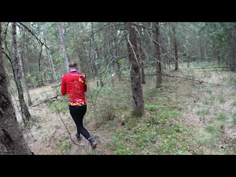 Põlva 44. teisipäevakud, Palujärv