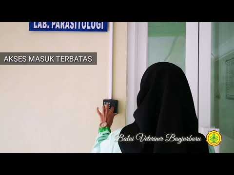 Sistem Biorisk di Laboratorium di Balai Veteriner Banjarbaru