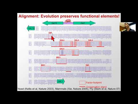 MIT CompBio Lecture 02 - Dynamic Programming (Fall'19)