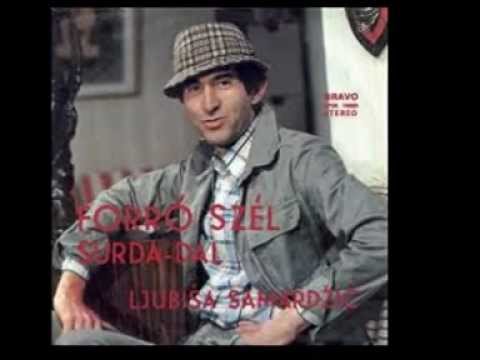 Túri Lui Surda dala