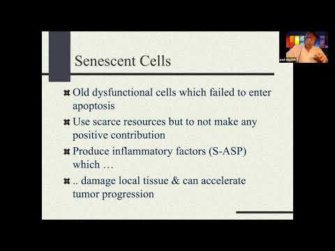 Dr  Paul Clayton 4 12 2021 ZinoGene & ZinoBiotic