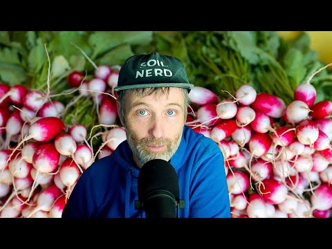 How to Grow Radishes + Weed Control in Orchards