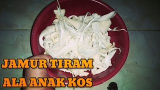 Download lagu Resep Masak Jamur Tiram Campur Pakis Ala Anak Kos mp3