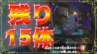 【ゼルダの伝説 ブレスオブザワイルド】#13 残りのイワロックを殲滅しにいくぞ【生放送】