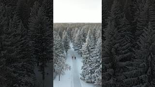 Skate the Park at Echo Valley Provincial Park #saskatchewan