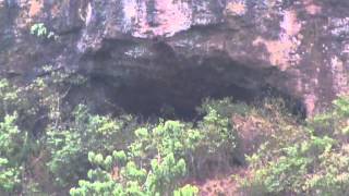 preview picture of video 'Cave under Basalt Rock Cap of Kas Plateau in Satara District.'