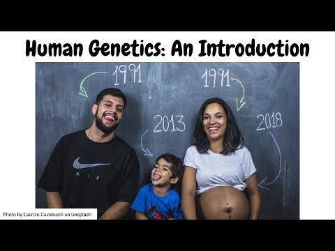 Human Genetics: An Introduction