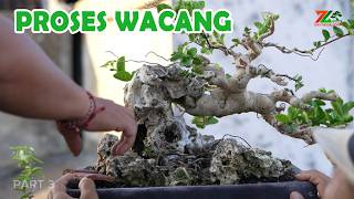 Download lagu MEMBUAT BONSAI WACANG CEPAT BERKARAKTER mp3