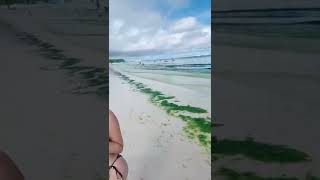 #bikini#108#tiktok #bikinibodies #tiktokcompilation