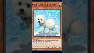 DECK ANJING #gibes #masterduelindonesia #yugiohindonesia