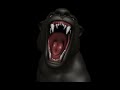 A Roar Animation Of A Black Panther Rigged In BEAR Www Bearigger Com