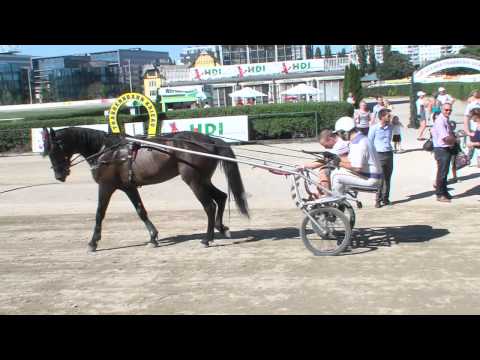 HDI Versicherung Trabrenntag 2012 - Krieau