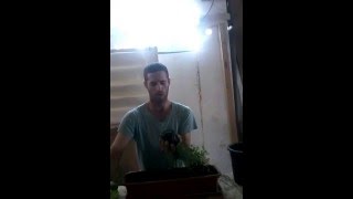 טיפ 2 - שתילה