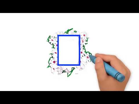 Happy Birthday Bhanu