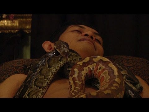 Um mundo de curiosidades em 2013