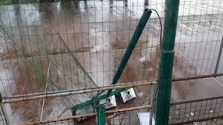 poteva-finire-in-tragedia-la-domenica-delle-palme