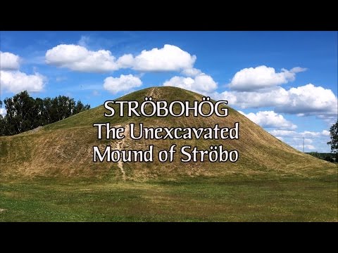 Grimfrost Visits the Viking Age: The Unexcavated Mound of Strobo