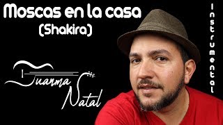 Moscas en la casa (Shakira) INSTRUMENTAL - Juanma Natal - Guitar - Cover - Lyrics