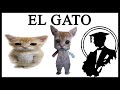 Who Is "El Gato"?