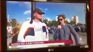 Palmen aus Plastik RTL2 News