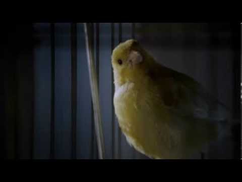 Energa - po prostu włącz - reklama telewizyjna Grupy ENERGA - wersja 15 sek. "interesujące"