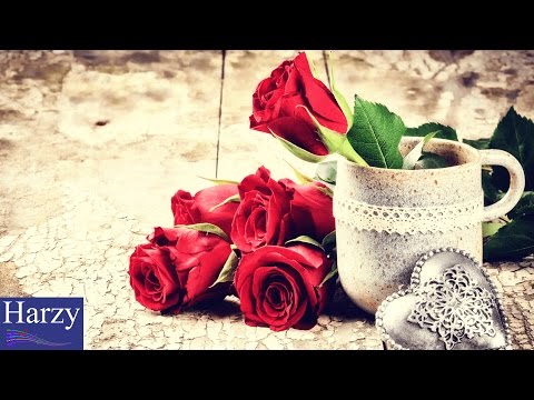 Fre3 Fly vs. Drum Pads 24 - Valentine (Part 2) [1 Hour Version]