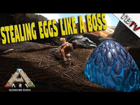 STEALING WYVERN EGGS - 134 LIGHTNING WYVERN! Ark Survival Evolved Scorched Earth S1E12  (Gameplay)