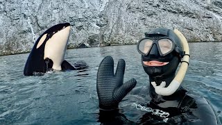 I Swam with Wild Killer Whales in Norway! (Orcas)