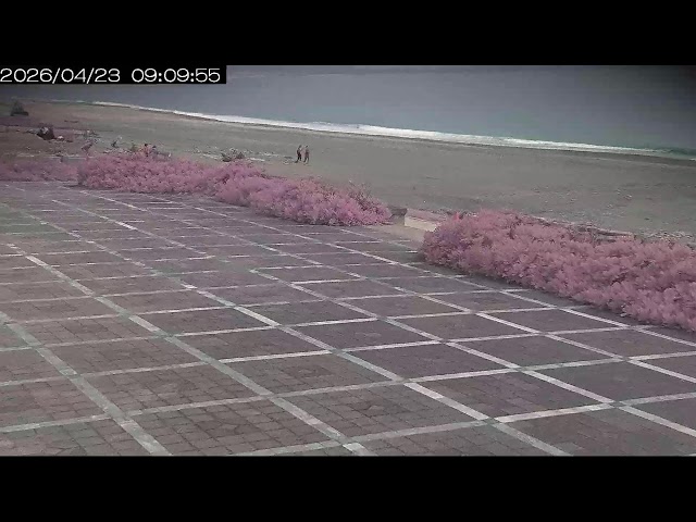 花蓮｜七星潭航道下景區