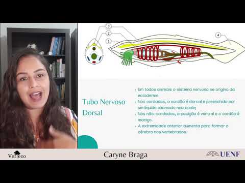 Introduction to Chordates Part I