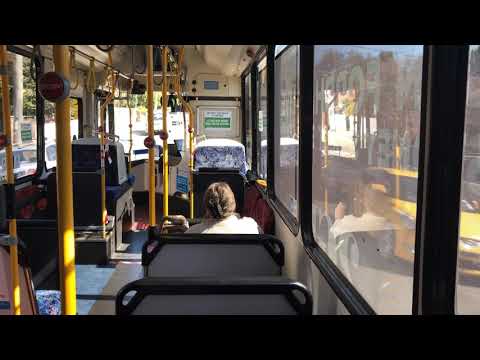 [Nice ZF Ecomat] Transit Systems Sydney 2444 ST • Scania K280UB  • Custom Coaches "CB80".