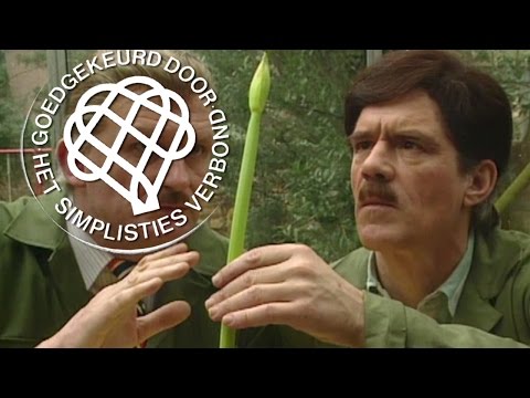 Keek op de Week 68, 10 3 1991 - Van Kooten en De Bie