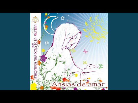 La Verdadera Felicidad - Misioneros Servidores…