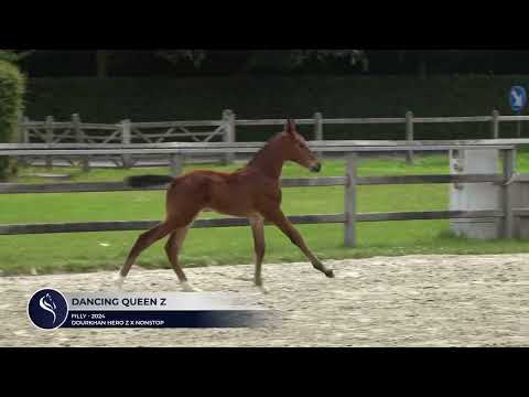 Dancing Queen Z