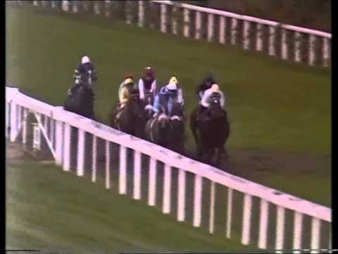 1986 Royal Lodge Stakes Ascot Full Race