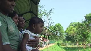 preview picture of video 'Sri Lanka (12/2009) - Uda Walawe National Park'