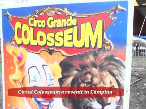 Circul Colosseum a revenit în Câmpina