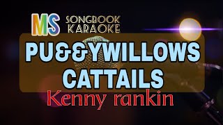 Download lagu PU$SYWILLOWS, CATTAILS - KENNY RANKIN KARAOKE mp3