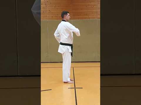 Batangson Nullo Makki Taekwondo #shorts