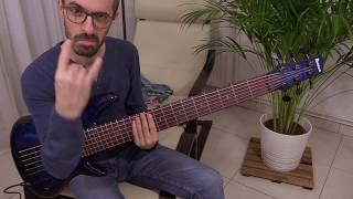 JAMEEL'S SPACE RIDE - Thundercat /// Authentic Bass Cover - Bruno Tauzin
