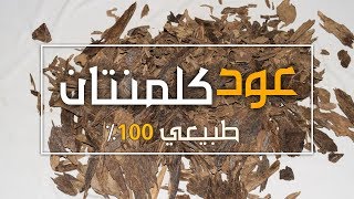 عود كلمنتان رائحة مميزة واسعاره في متناول الجميع