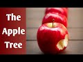 The Apple Tree Nursery Rhymes Kids School
