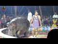 HIPPO AT AFRICAN FAMOUS CIRCUS KOLKATA AT WINTER हिप्पो अफ्रीकन फेम�