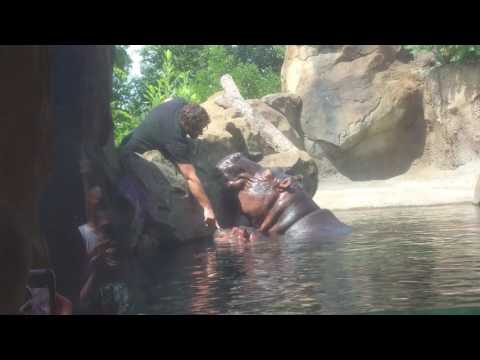 Fiona, Bibi, and Dan