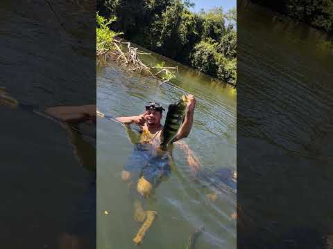 rio Tocantins barra do ouro