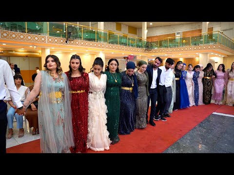 Mardinlilerden Bomba Şevko Halayı 2025 - Bu Düğünü Kaçırmayın