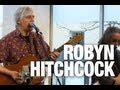 Robyn Hitchcock & the Venus 3 "What You Is" | indieATL session