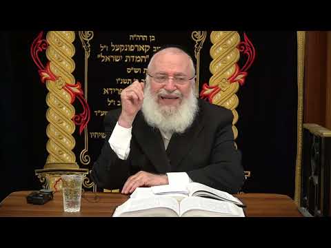 V'Ohavta L'rayacha Kamocha | Weekly Shiur by Rav Asher Weiss Shlit"a (5785)