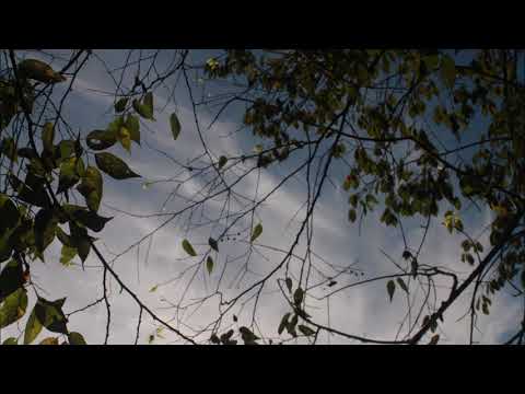 Video thumbnail for Untitled (81)