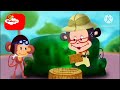 Go Eco 2014 Cubs Animal Party 2015 Baboons